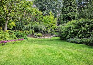 Optimiser l'expérience du jardin à Mottereau